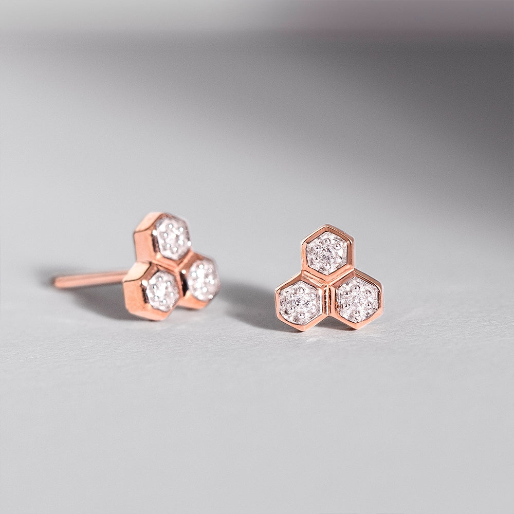 Rose Gold Earrings